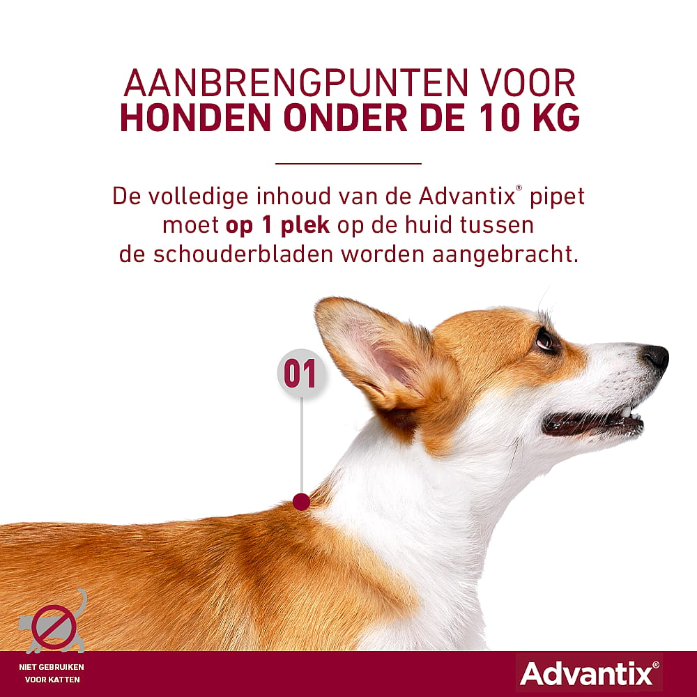 Advantix Spot-on Hond