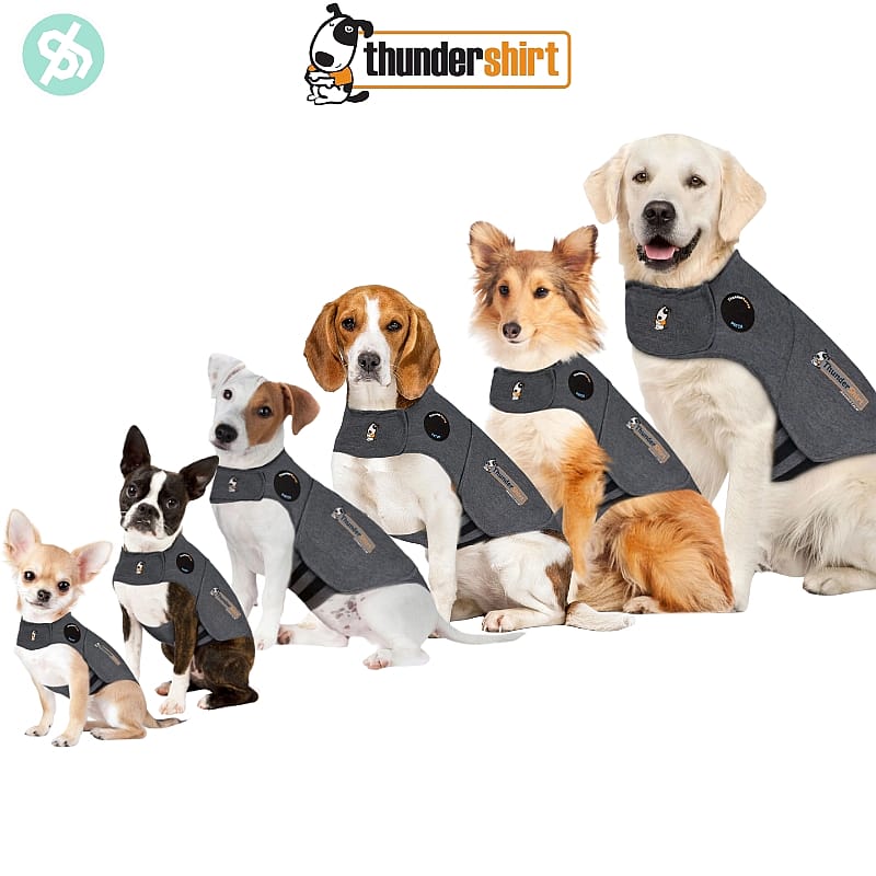 Thundershirt Hond