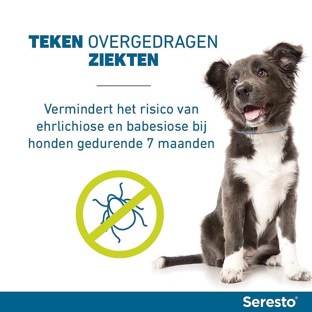 Seresto Halsband Vlooien en Teken Hond