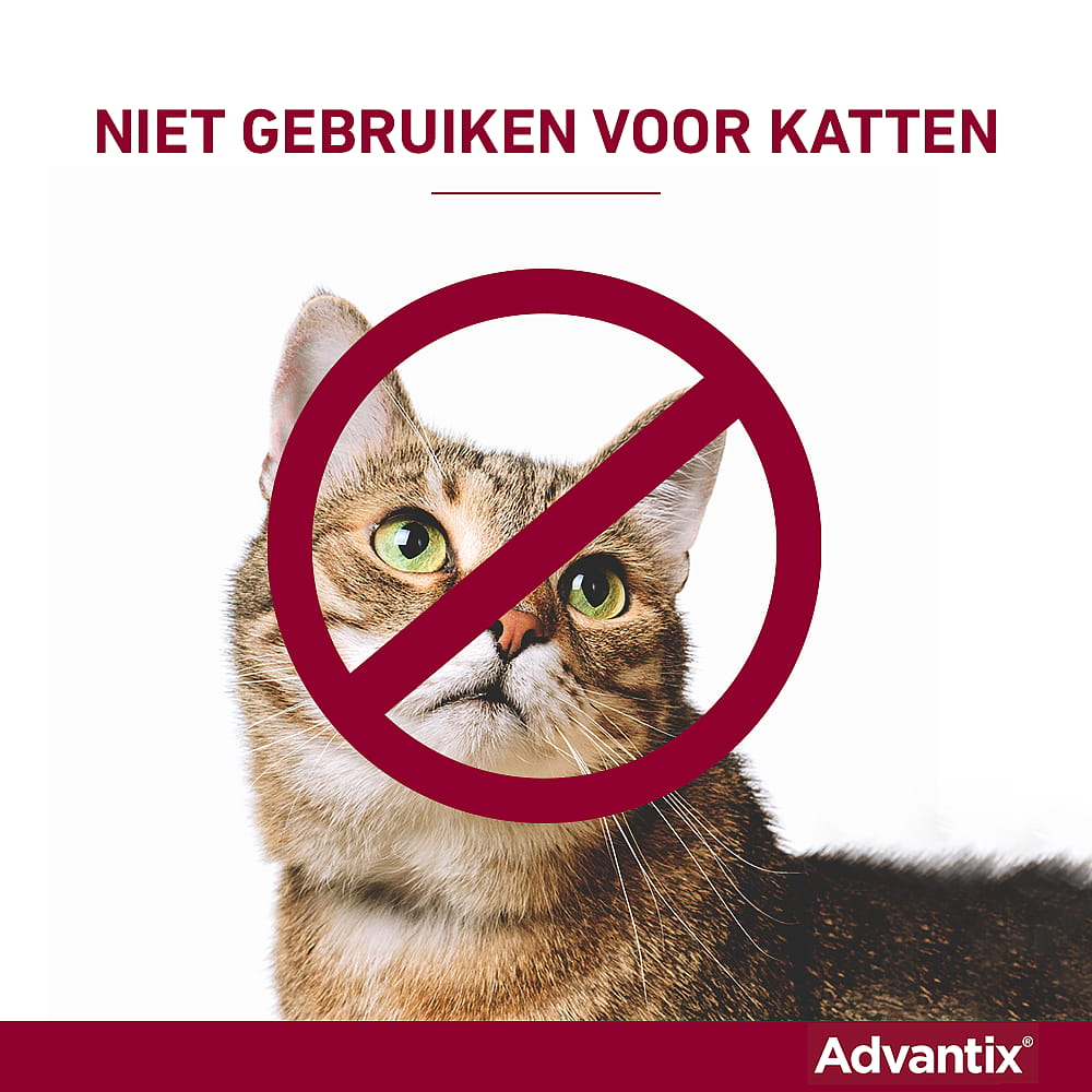 Advantix Spot-on Hond