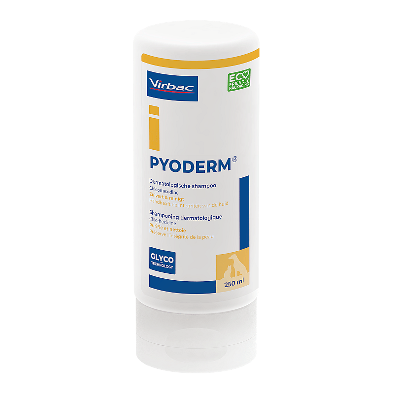 Pyoderm shampoo 250 ml