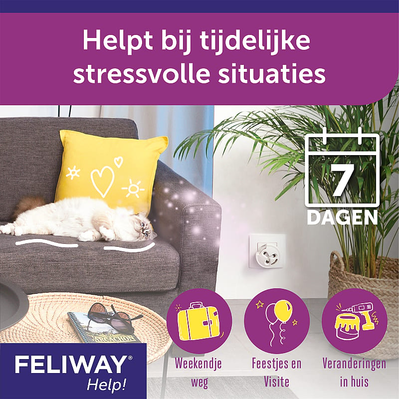 Feliway Help!