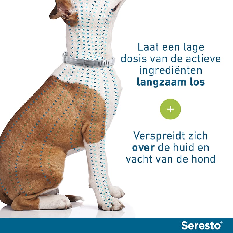 Seresto Halsband Vlooien en Teken Hond