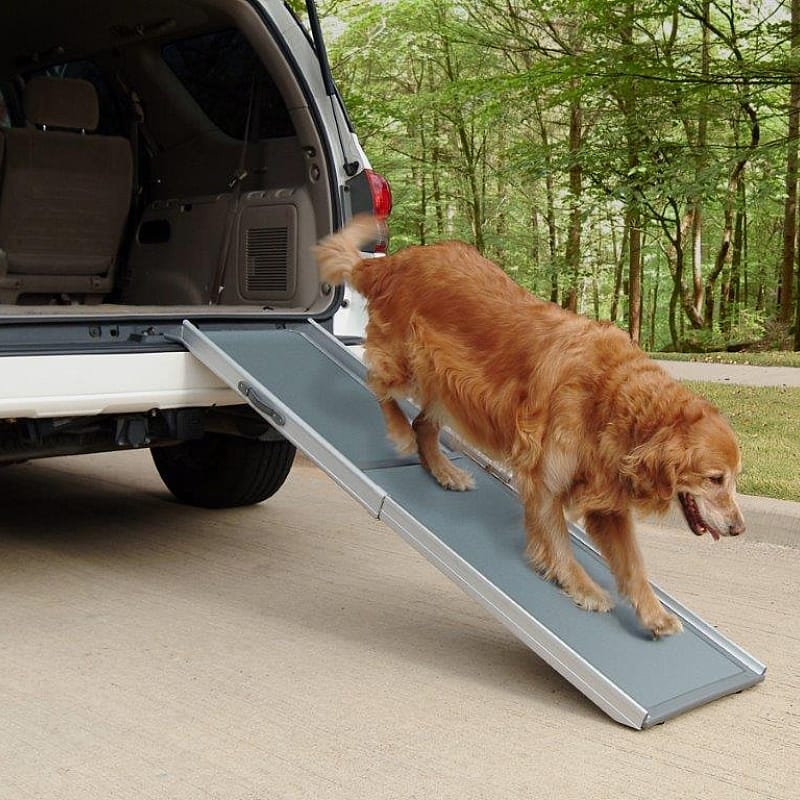 PetSafe Happy Ride Telescoping Dog Ramp Luxe loopplank voor honden