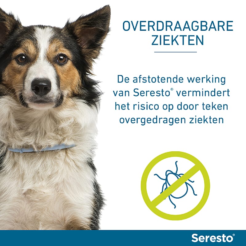 Seresto Halsband Vlooien en Teken Hond