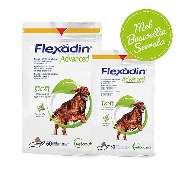 Flexadin Advanced Hond