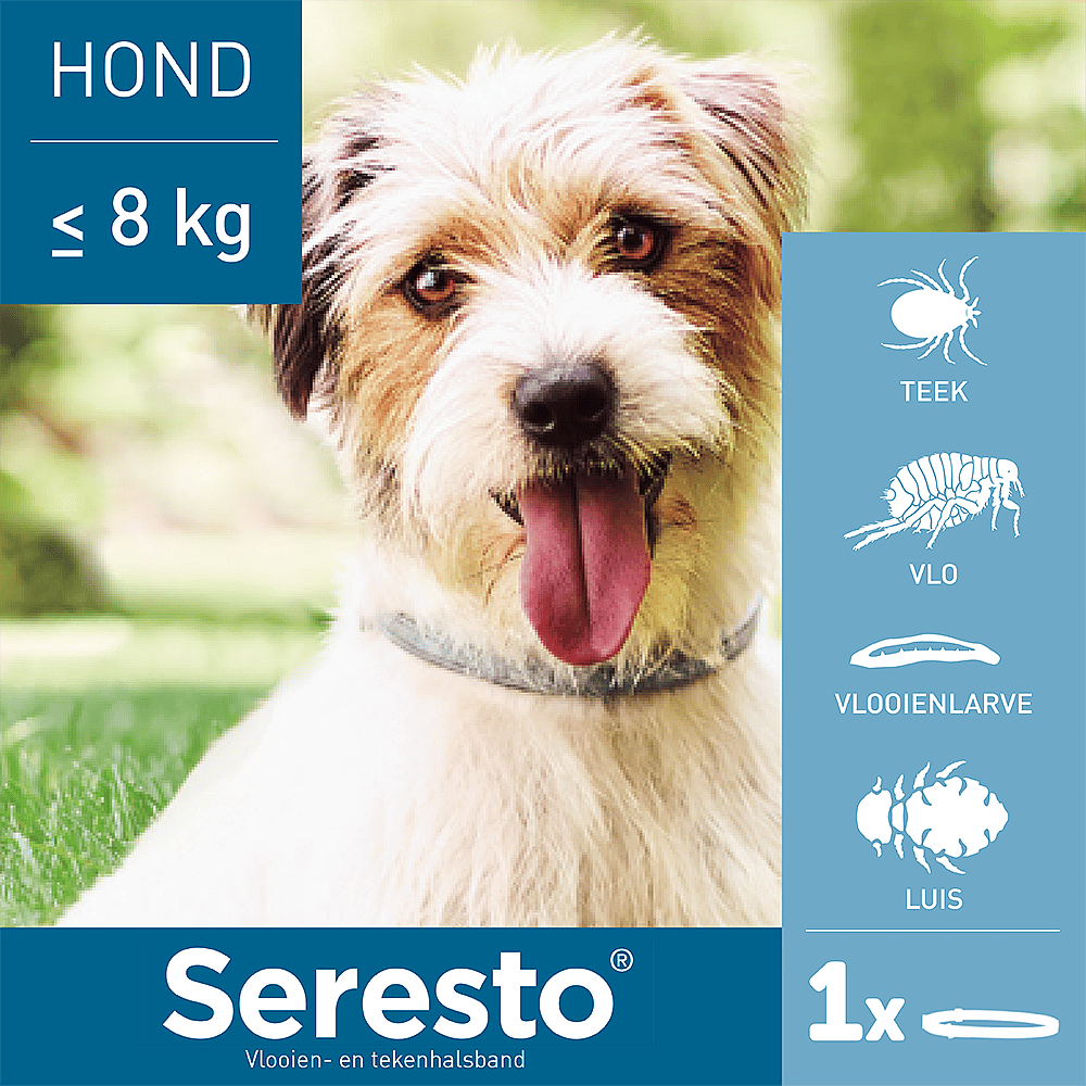 Seresto Halsband Vlooien en Teken Hond