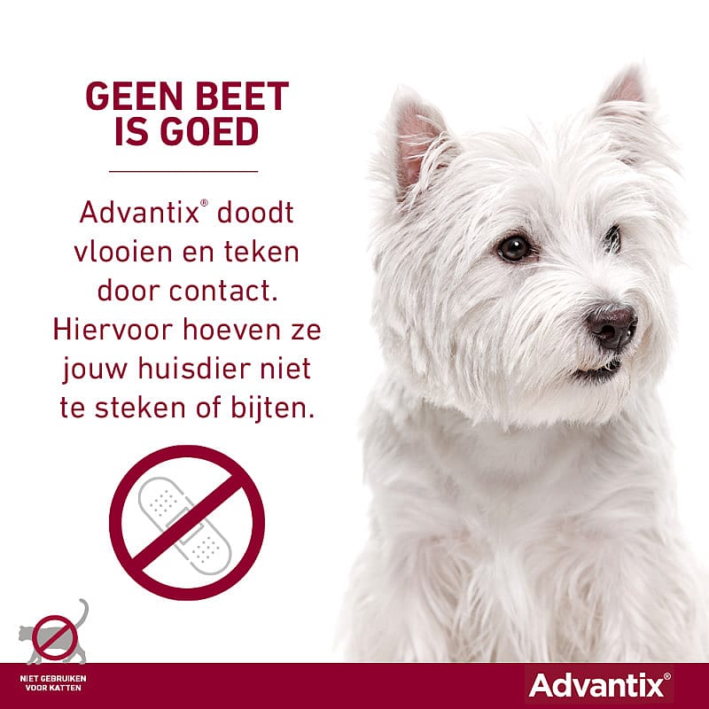 Advantix Spot-on Hond