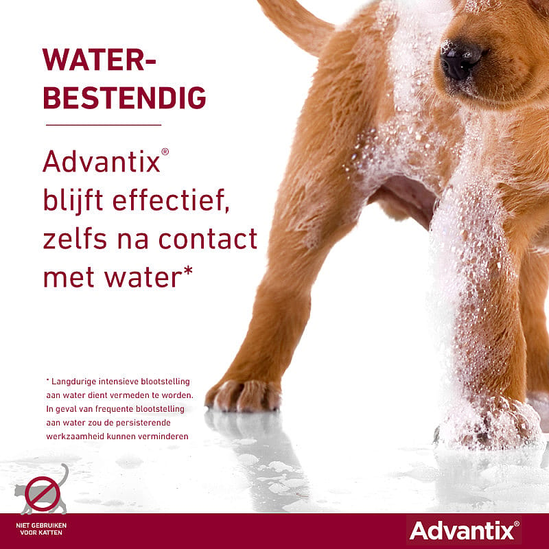 Advantix Spot-on Hond