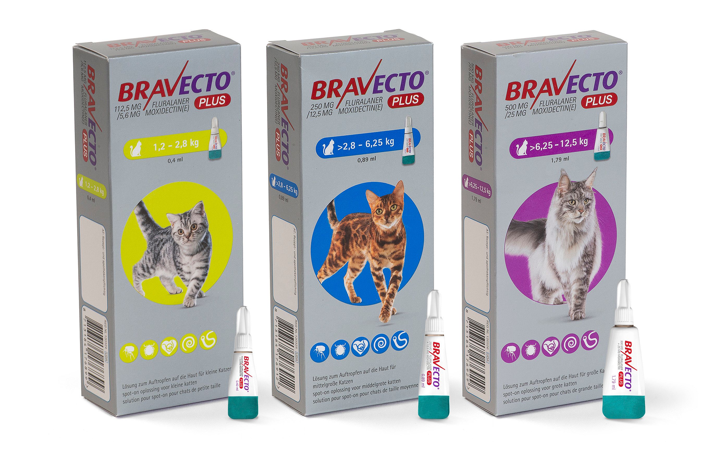 Bravecto Plus Spot-on Pipet Kat