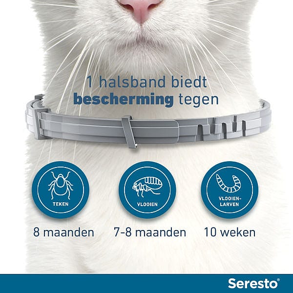 Seresto Halsband Vlooien en Teken Kat