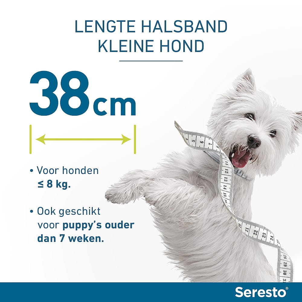 Seresto Halsband Vlooien en Teken Hond