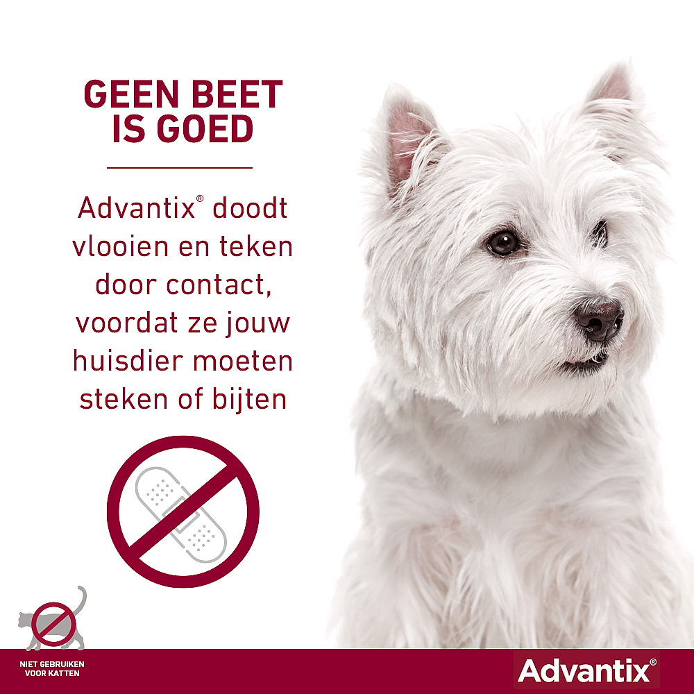 Advantix Spot-on Hond