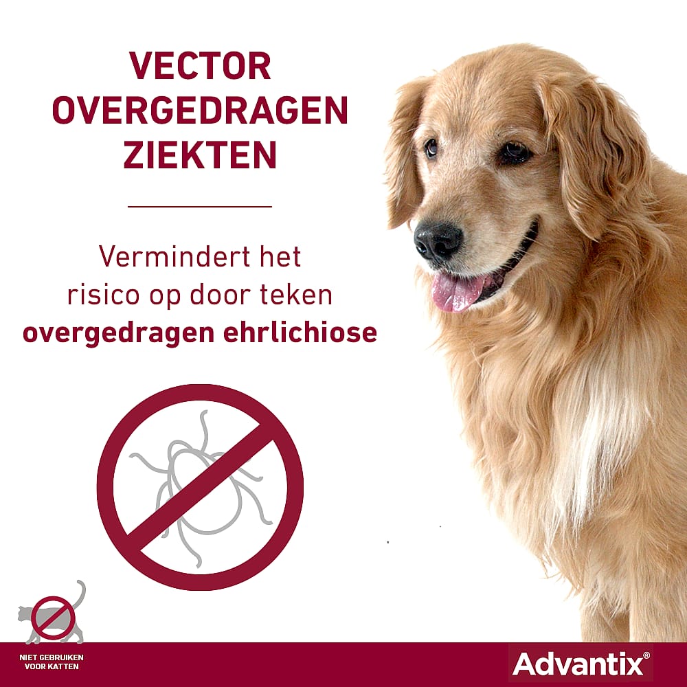 Advantix Spot-on Hond