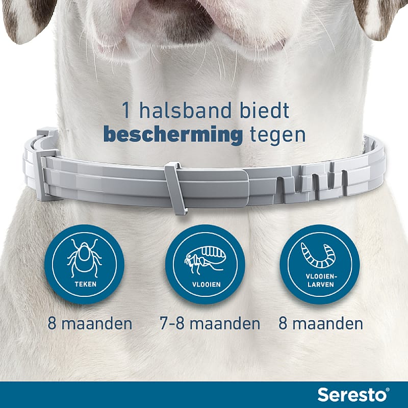 Seresto Halsband Vlooien en Teken Hond