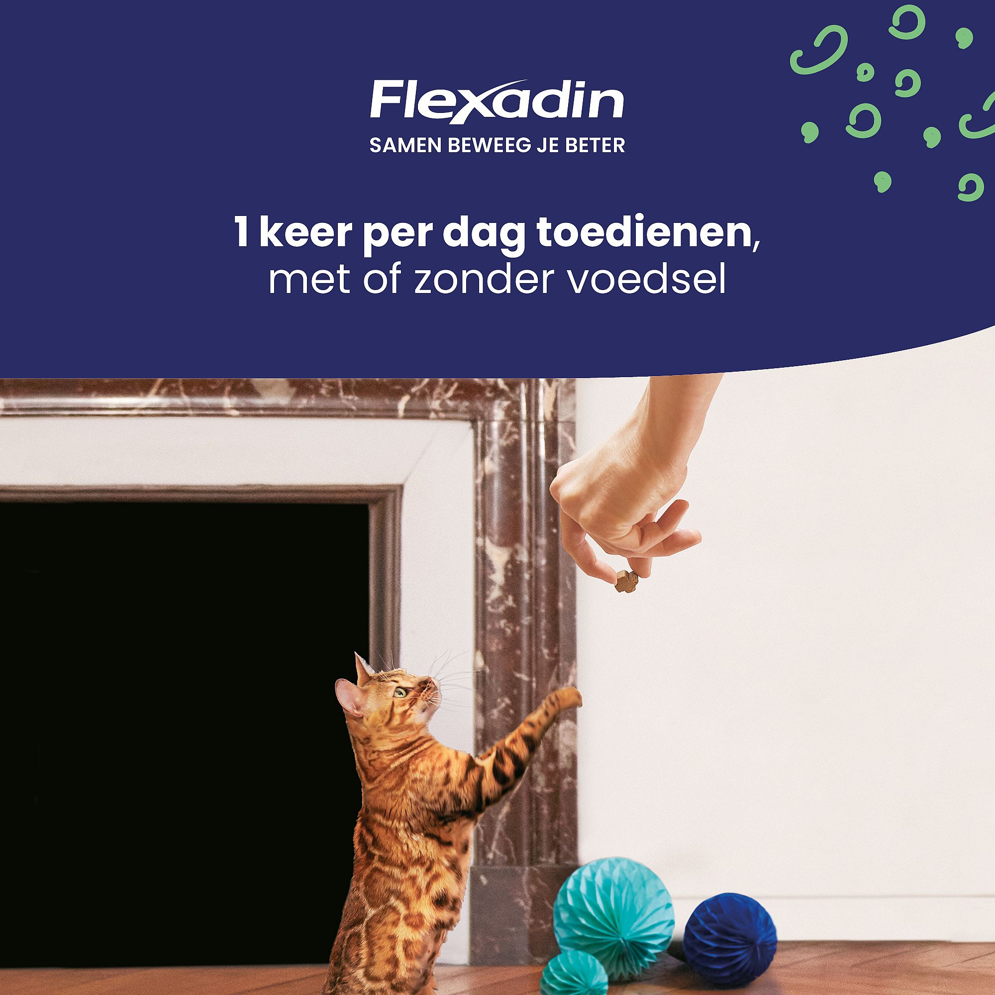 Flexadin Cat 60 Kauwbrokjes