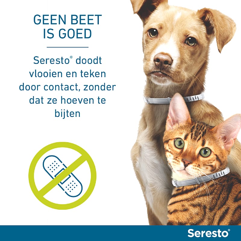 Seresto Halsband Vlooien en Teken Hond