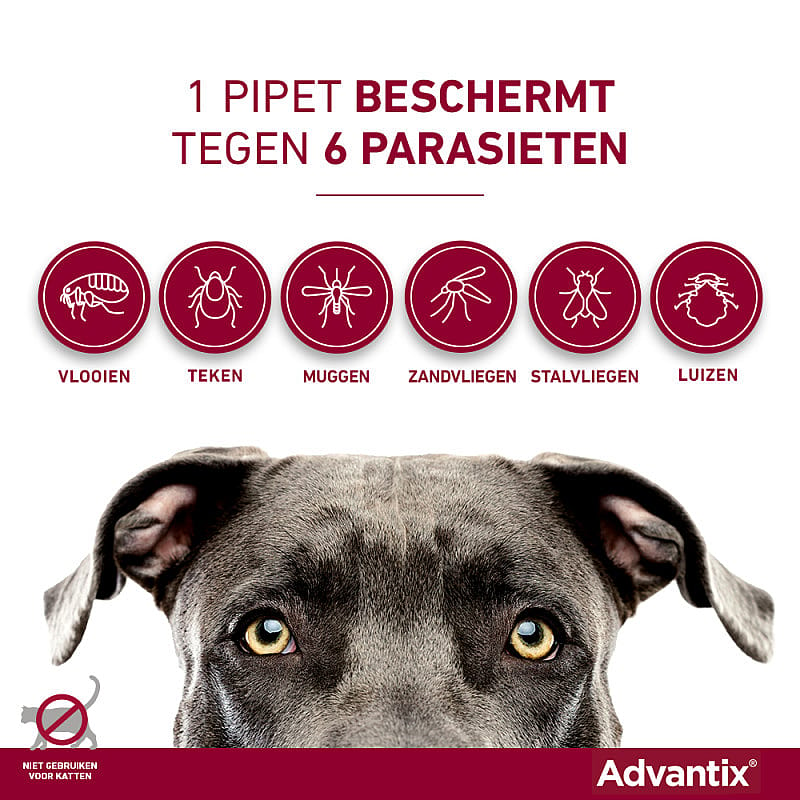 Advantix Spot-on Hond