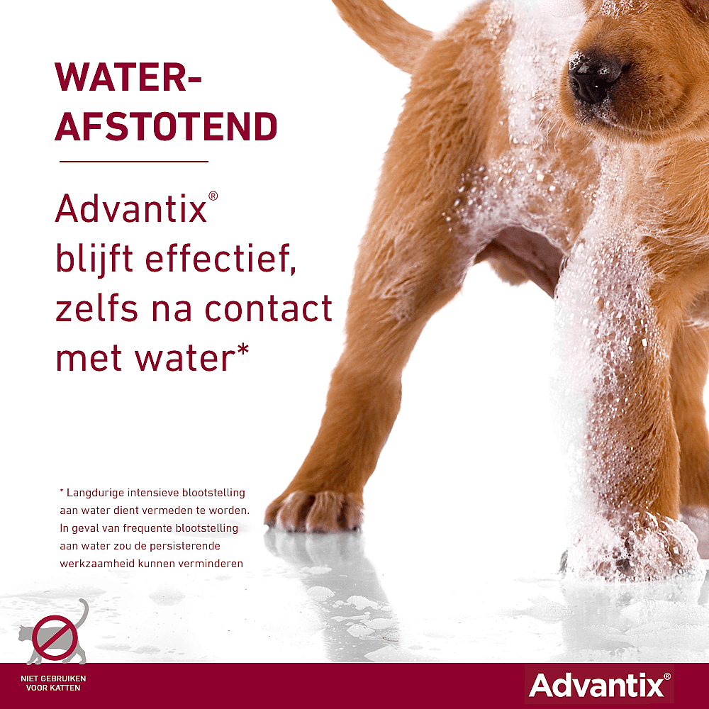 Advantix Spot-on Hond