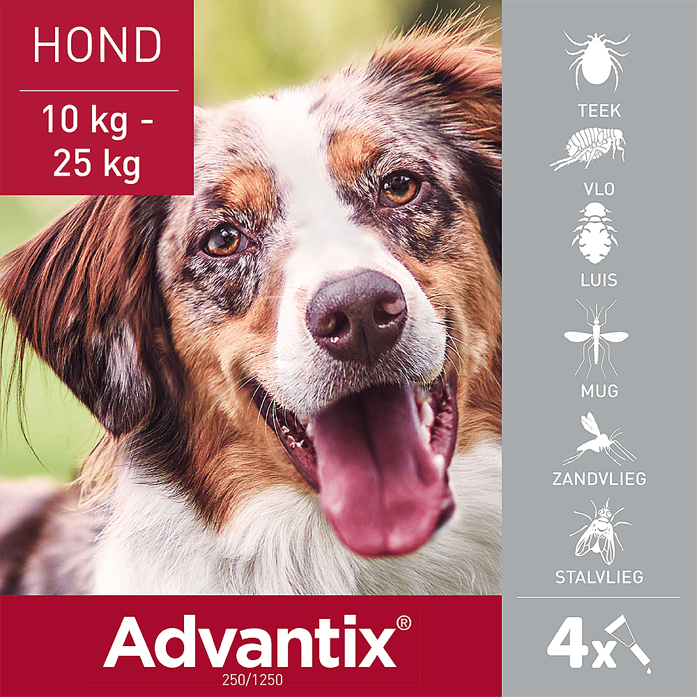 Advantix Spot-on Hond