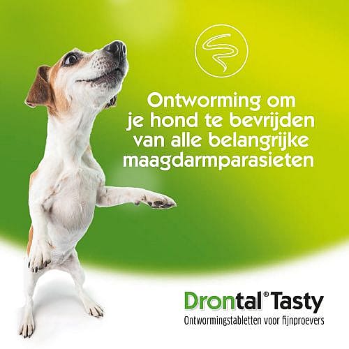 Drontal Dog Tasty Flavour Ontwormingstablet Hond