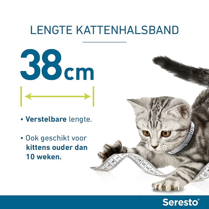 Seresto Halsband Vlooien en Teken Kat