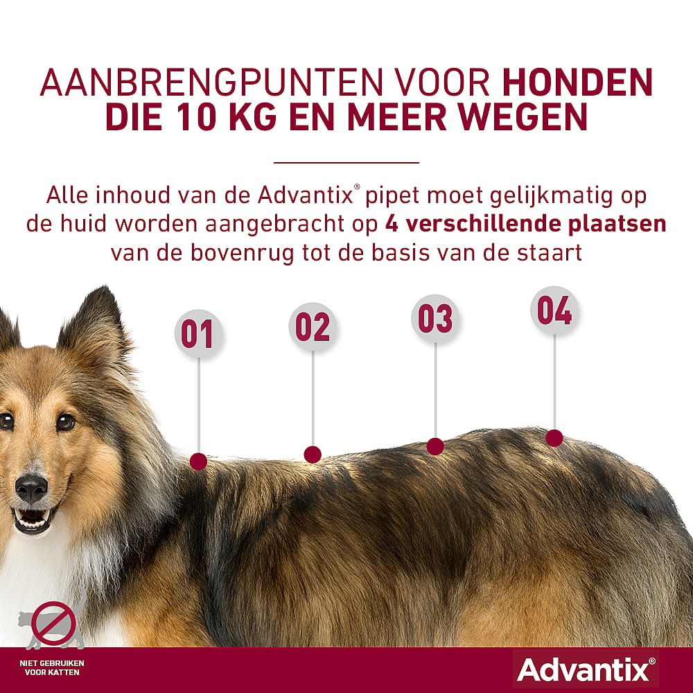 Advantix Spot-on Hond