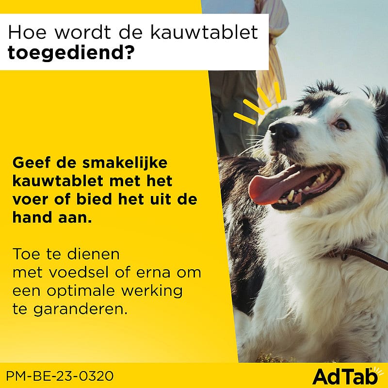 AdTab Hond 3 tabletten