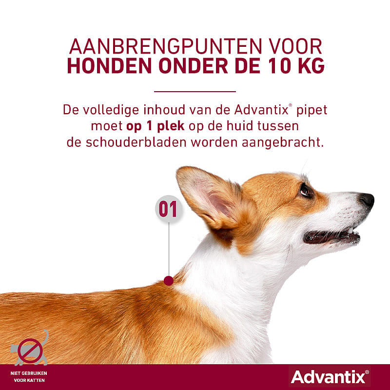 Advantix Spot-on Hond