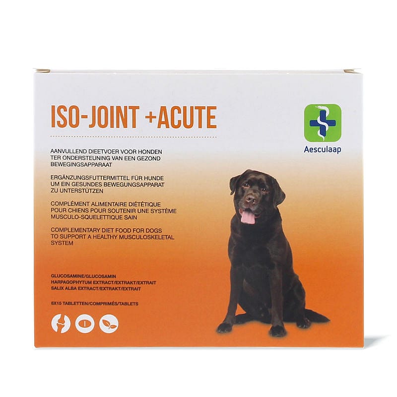 Iso-Joint + Acute 6 x 15 tabletten