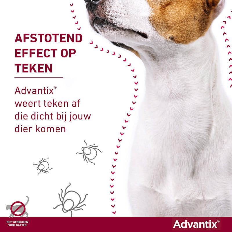 Advantix Spot-on Hond