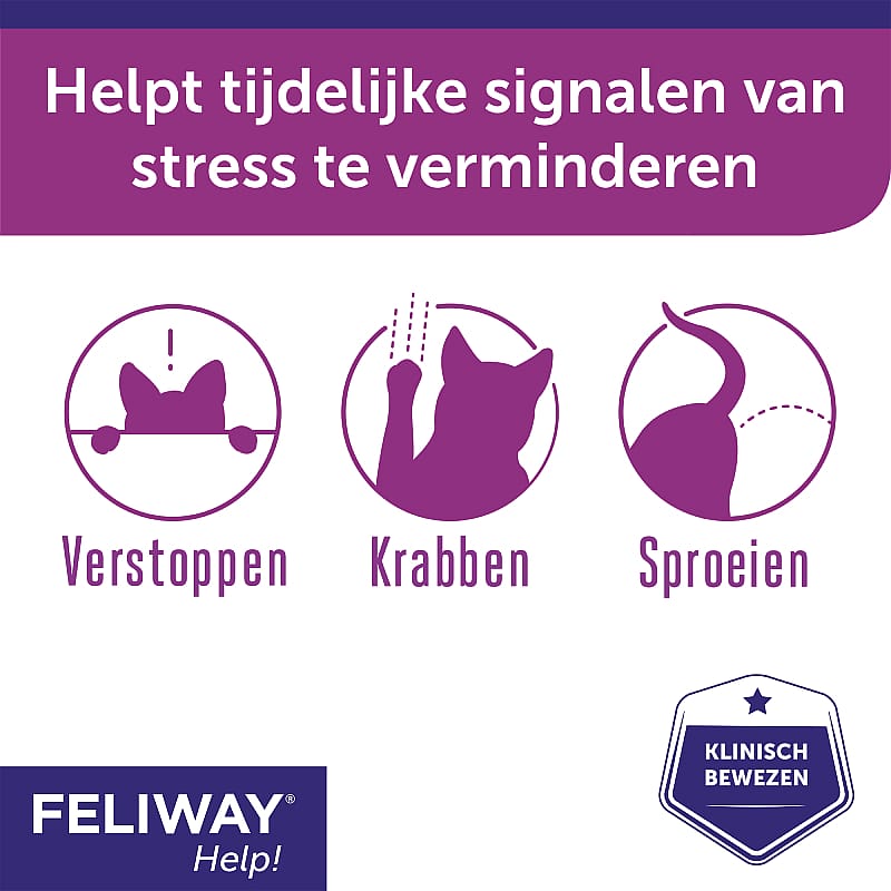 Feliway Help!