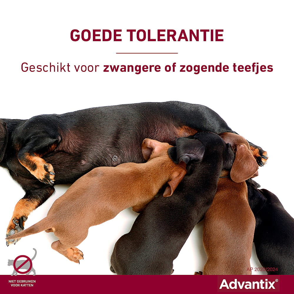 Advantix Spot-on Hond