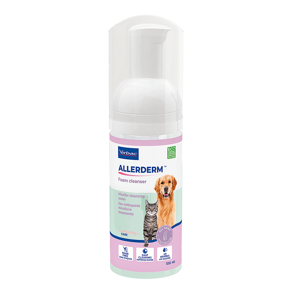 Allerderm Foam Hond Kat