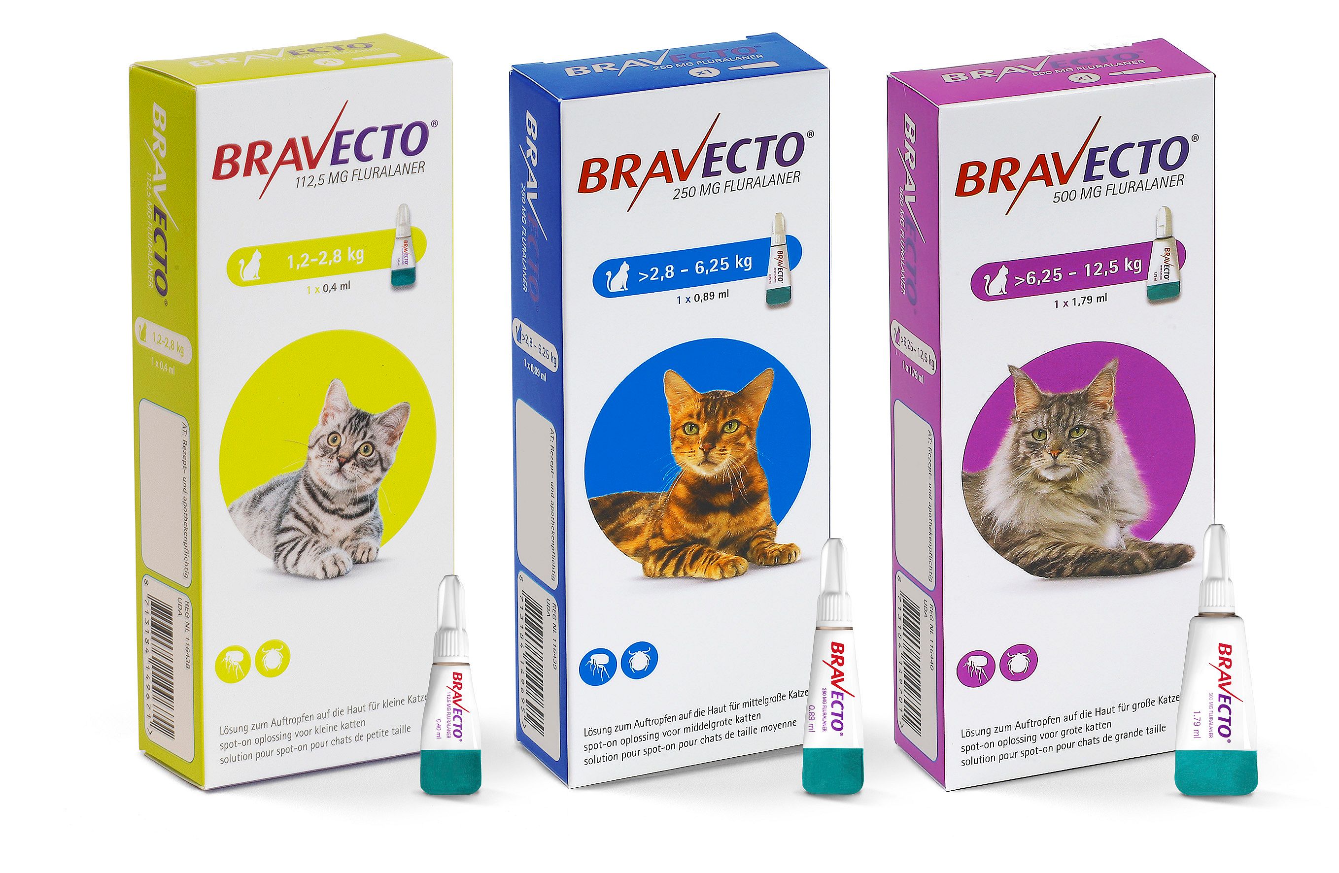 Bravecto Spot-on Pipet Kat