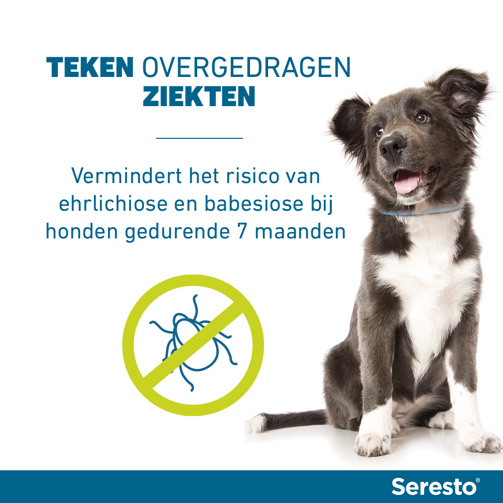 Seresto Halsband Vlooien en Teken Hond