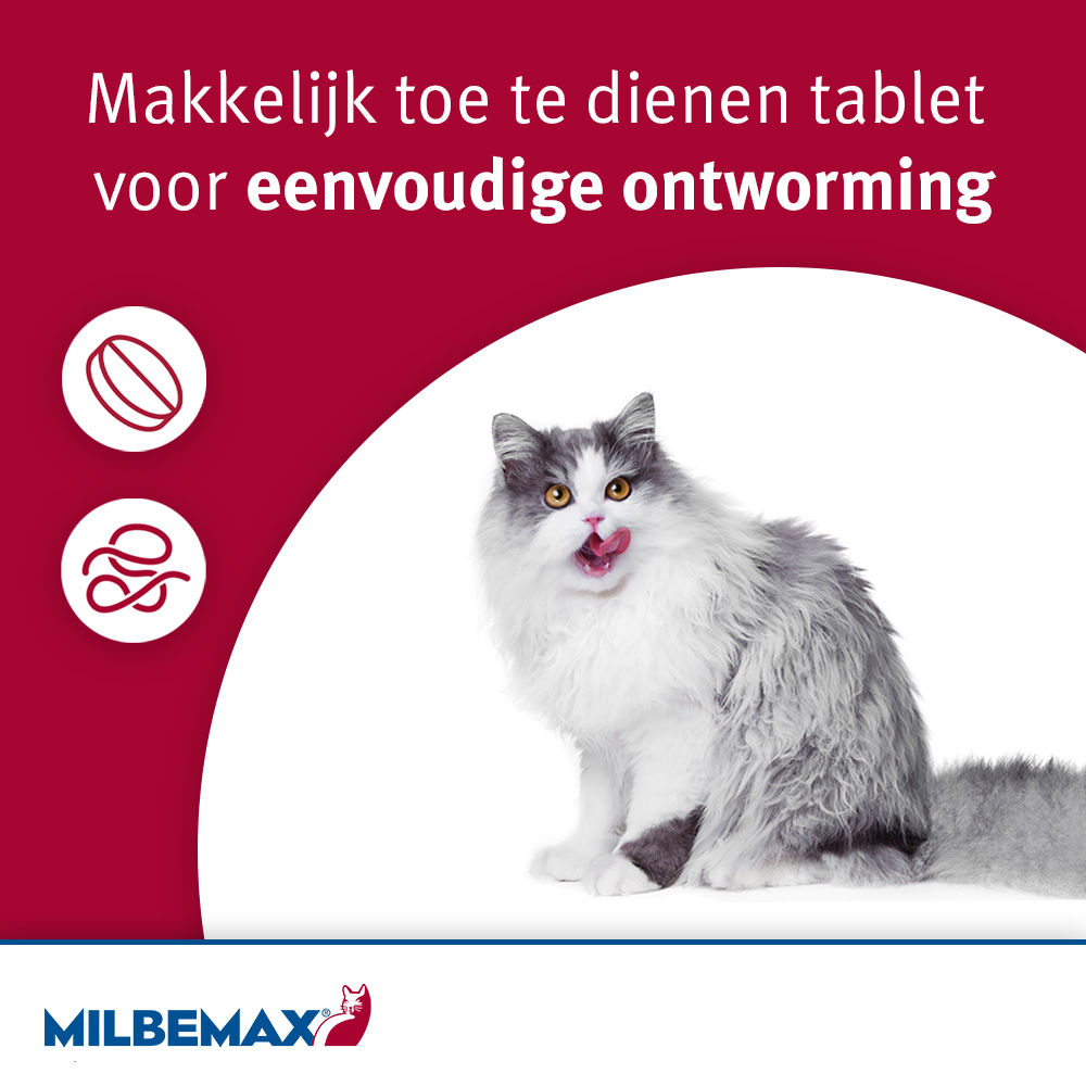 Milbemax Grote Kat Ontwormingstabletten