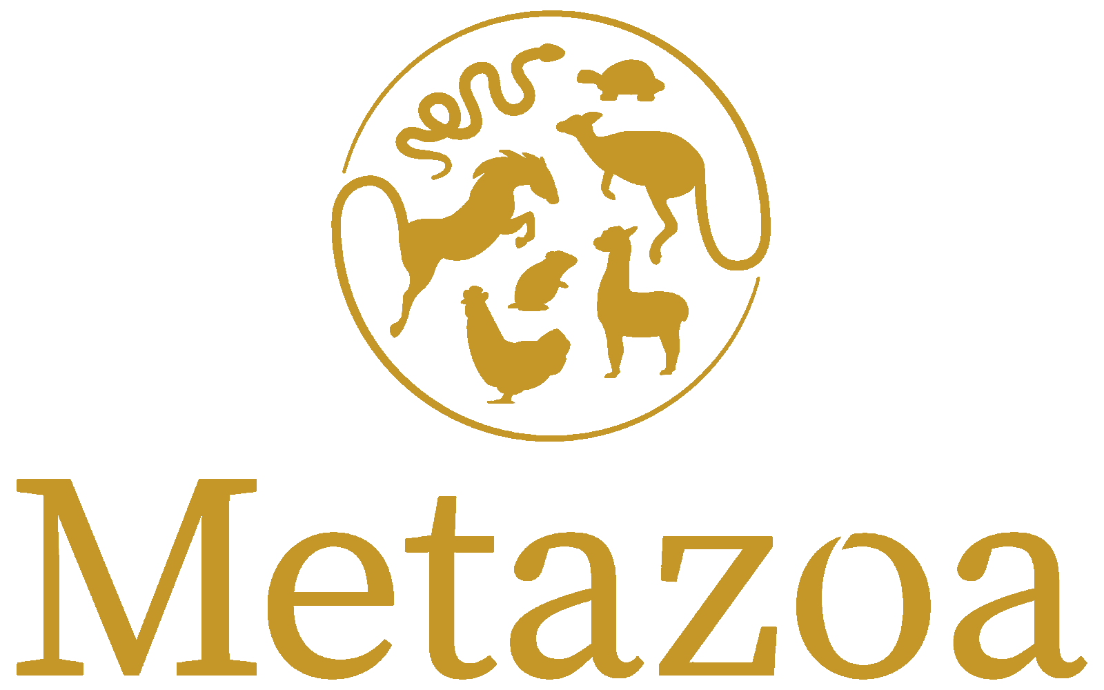 Metazoa