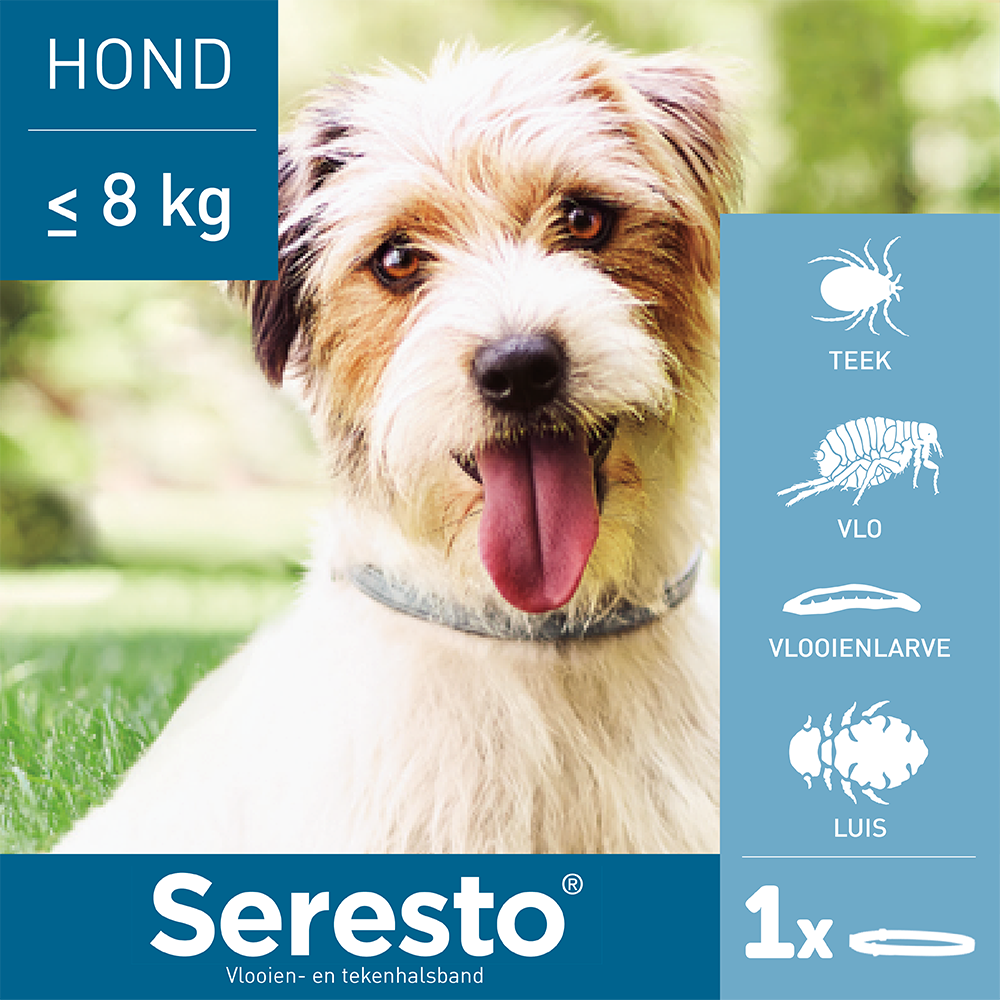 Seresto Halsband Vlooien en Teken Hond