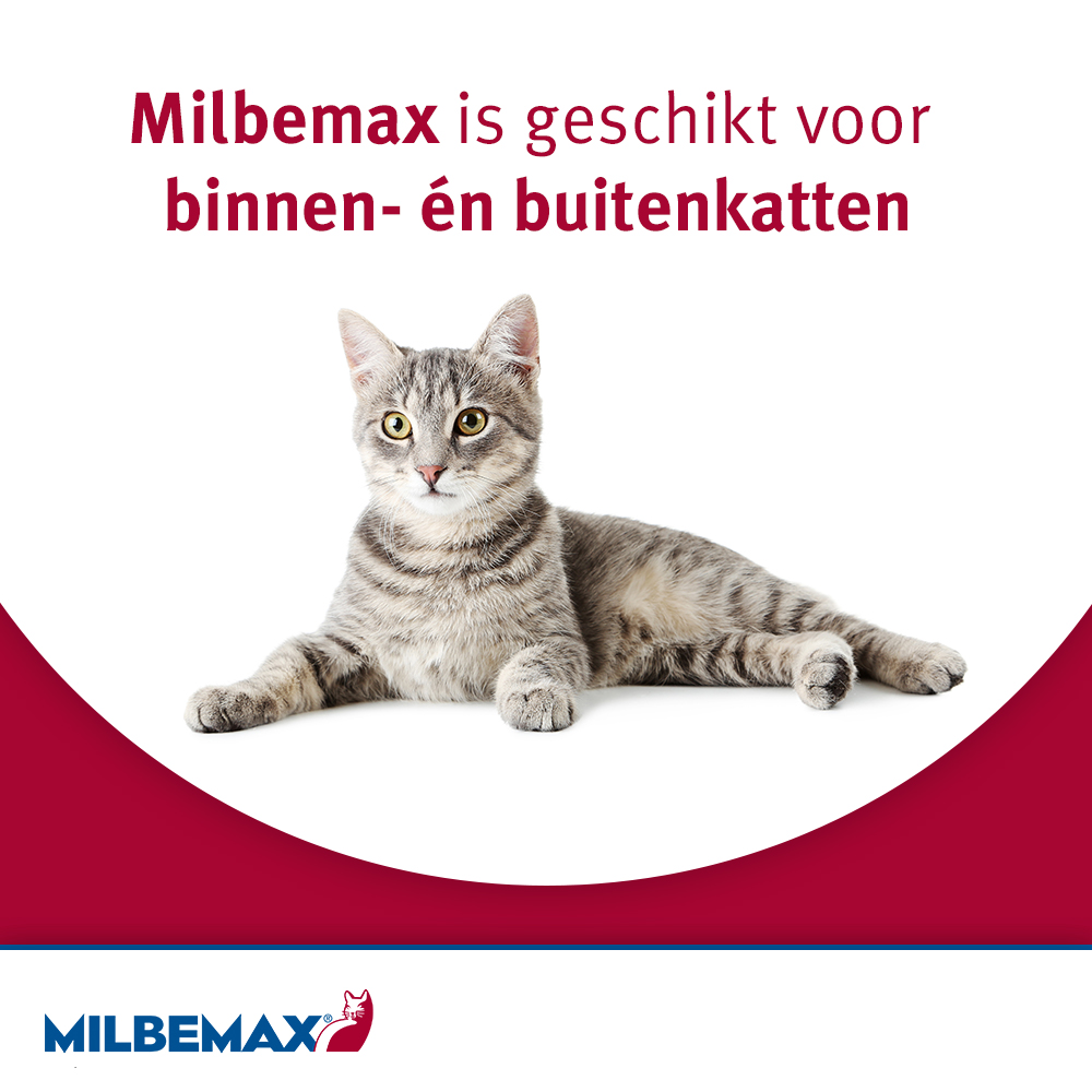 Milbemax Grote Kat Ontwormingstabletten