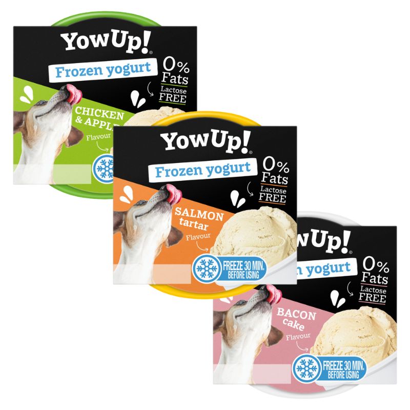 YowUp! Ice Cream Yogurt Hond Kat 110 gram