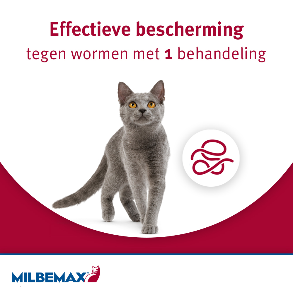 Milbemax Grote Kat Ontwormingstabletten