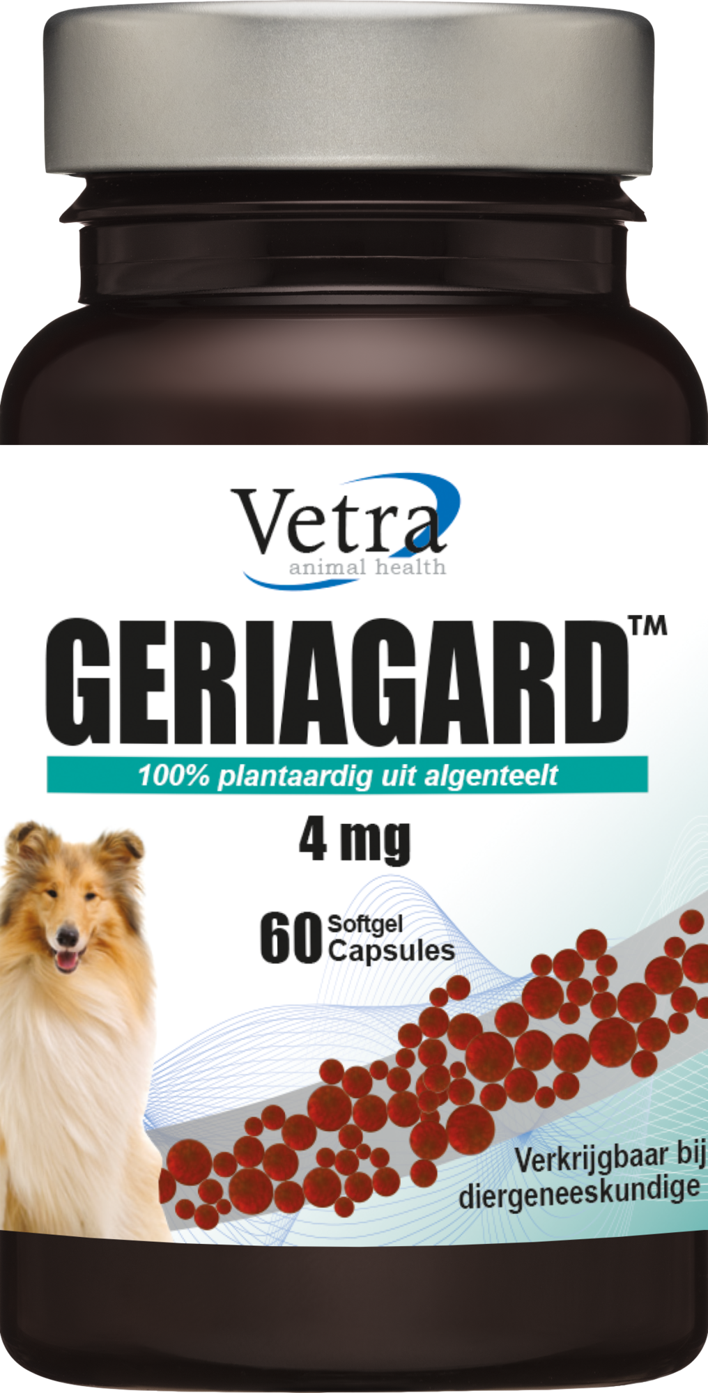 Vetra Geriagard Hond Kat