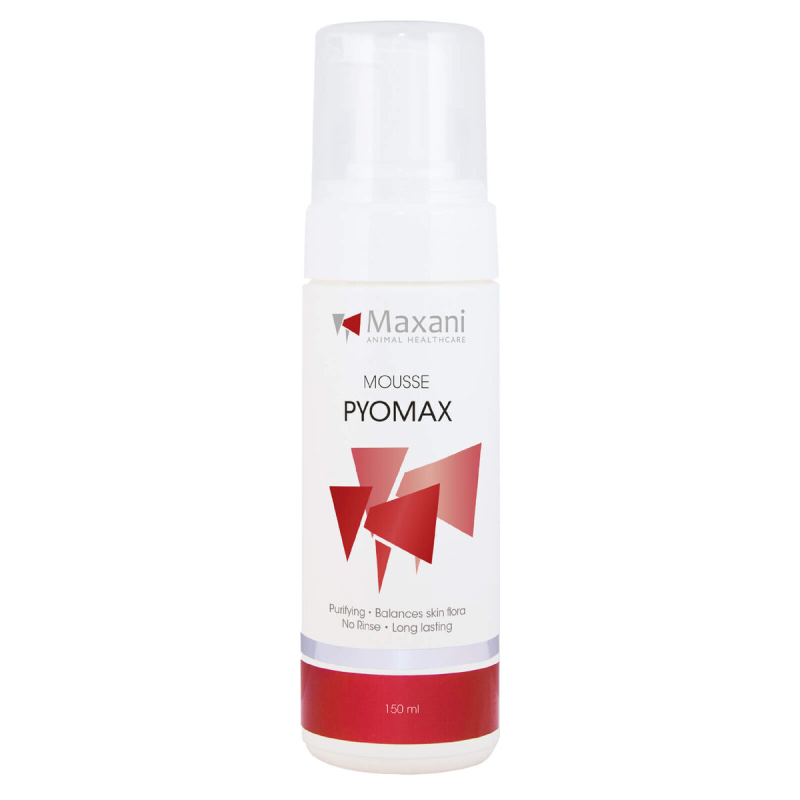 Maxani PyoMax Mousse Hond Kat Paard 150 ml