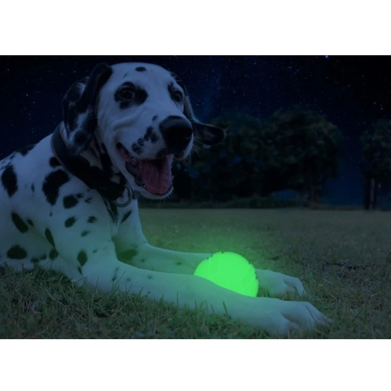 2 Glow Fetch And Catch