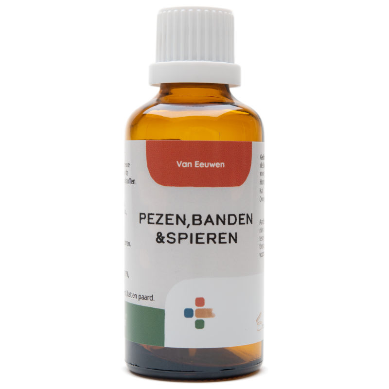 Van Eeuwen Pezen, Banden & Spieren