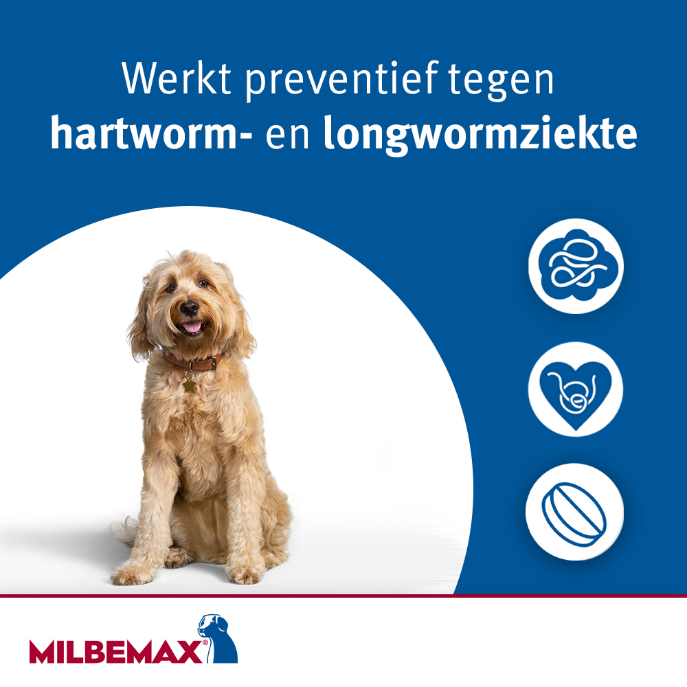 Milbemax Kleine Hond Ontwormingstabletten