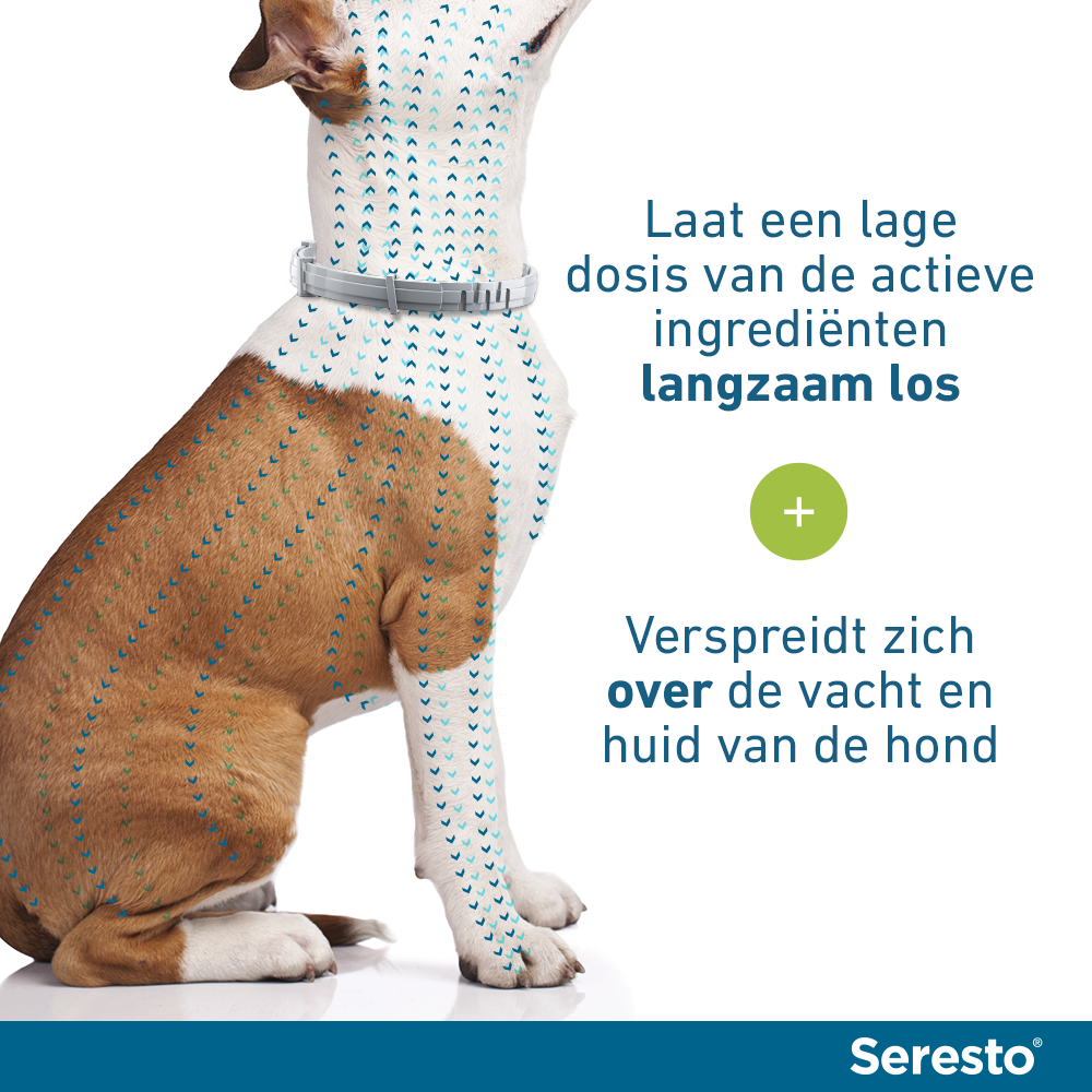 Seresto Halsband Vlooien en Teken Hond