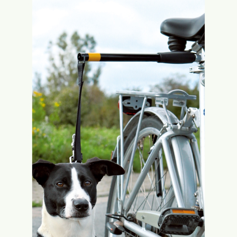 Hands Free Doggy Bike Exerciser Leash Fietshulp Hond