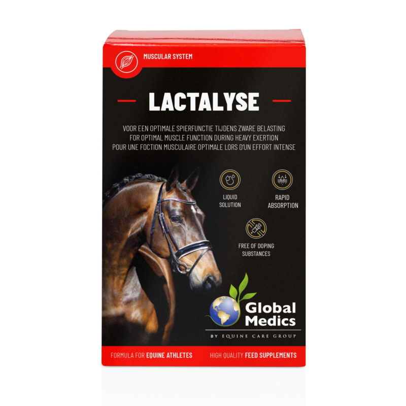 Global Medics Lactalyse Spieren Paard 0.4 liter